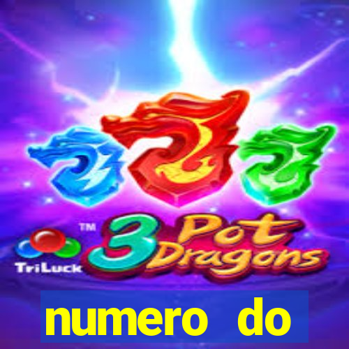 numero do poupatempo de itaquera